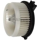 1562420 Napa Hvac Blower Motor