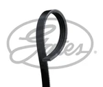 Gates 4PK1100 V-ribbed Belt For Alfa Romeo Fiat Great Wall Lancia Toyota Zhongxi. Fixed Price $22.24.